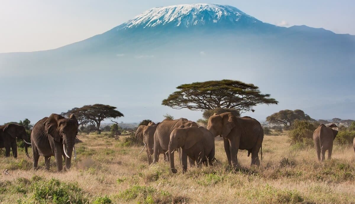 Amboseli National Park