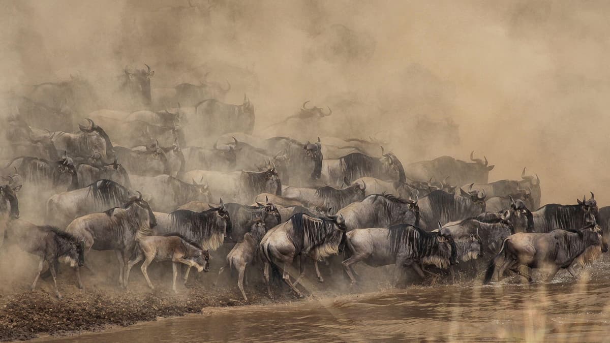 Maasai Mara National Reserve