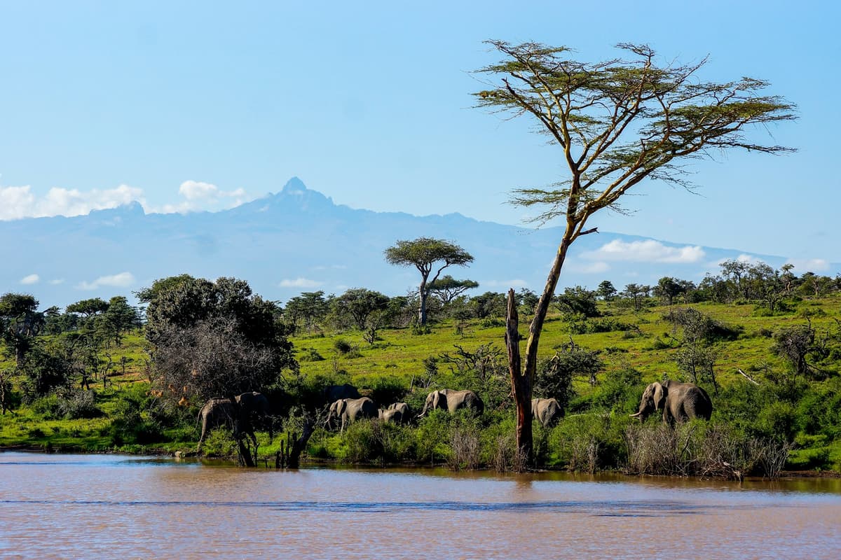 Mount Kenya National Park