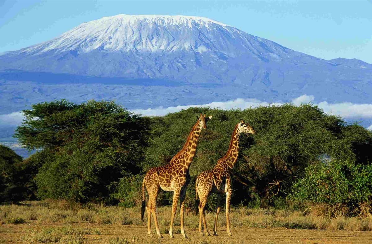 Mount Kilimanjaro