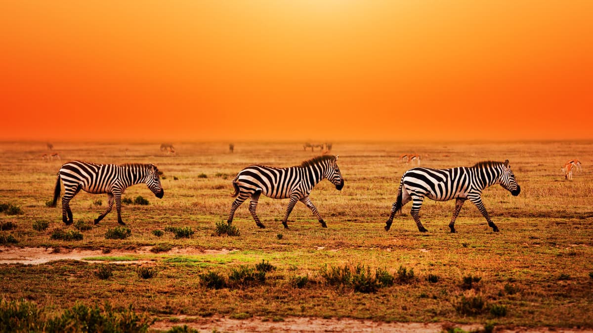 Serengeti National Park