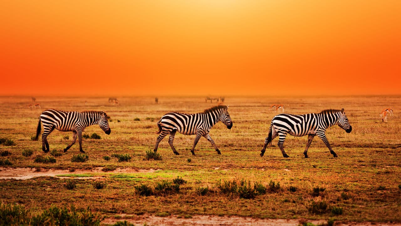 Serengeti National Park