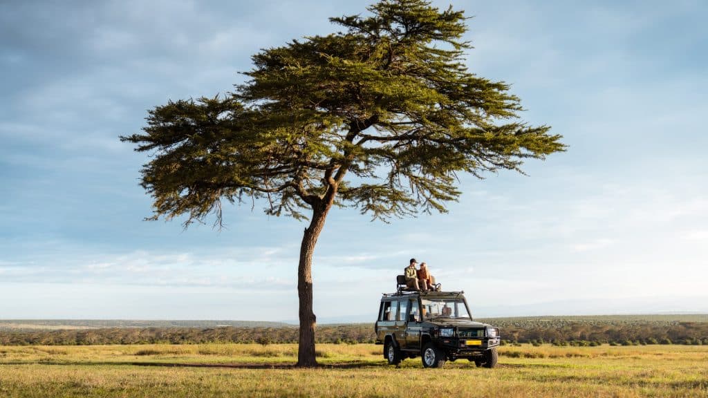 A lion resting in the Serengeti